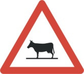 Tiere (Kuh) 50 cm