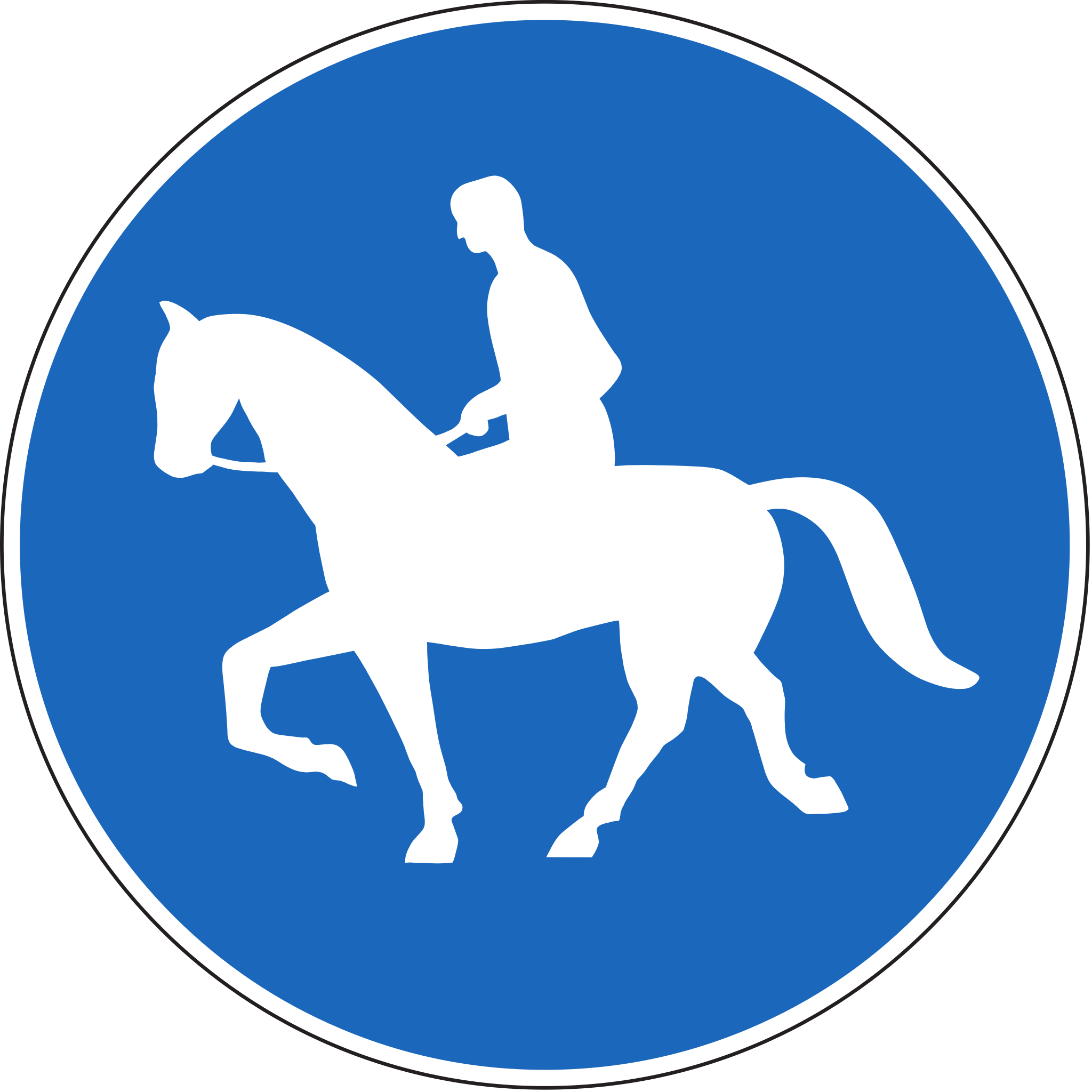 Reitweg 80 cm