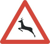 Wildwechsel 50 cm