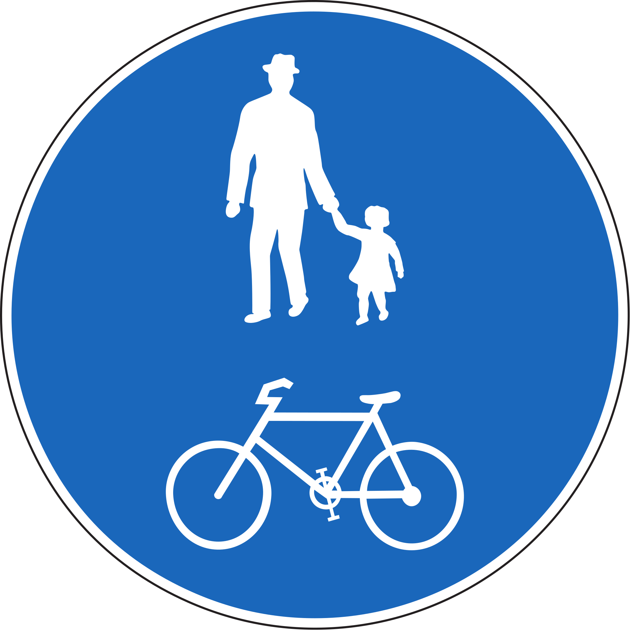 Gemeinsamer Rad- und Fussweg 80 cm